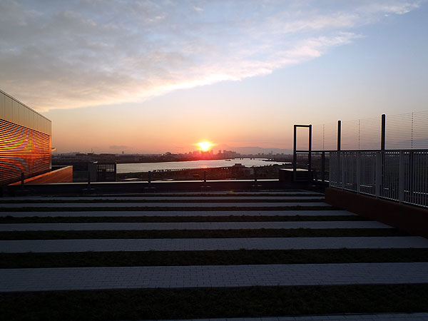羽田空港から見た夕日